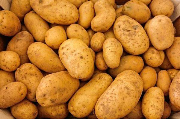 Elektrische Kartoffelreiben – Kartoffelreibemaschinen kaufen Top 10