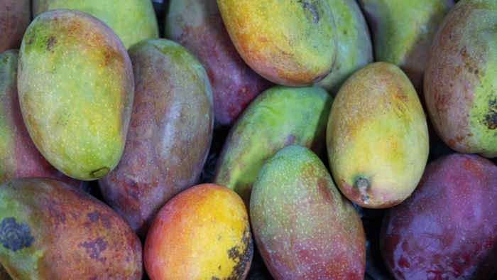 Mango - mangokalare