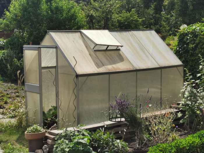 Greenhouse: Possibilities and tips for greenhouses in the garden