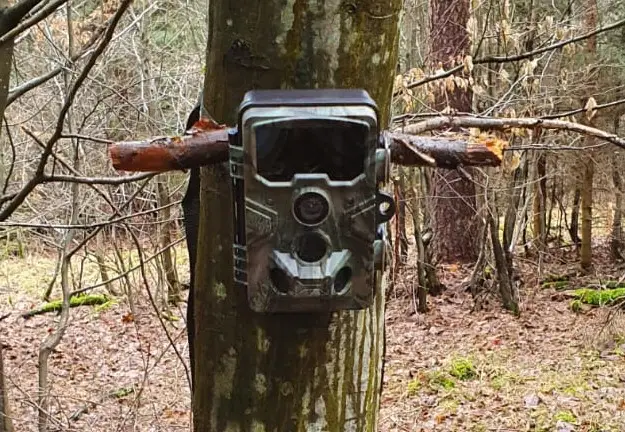 Wildlife camera Apeman H60 camera trap